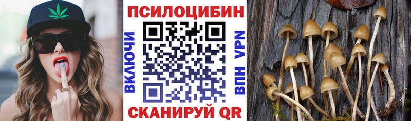 Галлюциногенные грибы Cubensis  как найти наркотики  Калязин 